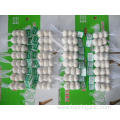 Pure Garlic packed 3pcs net then 10kgs ctn